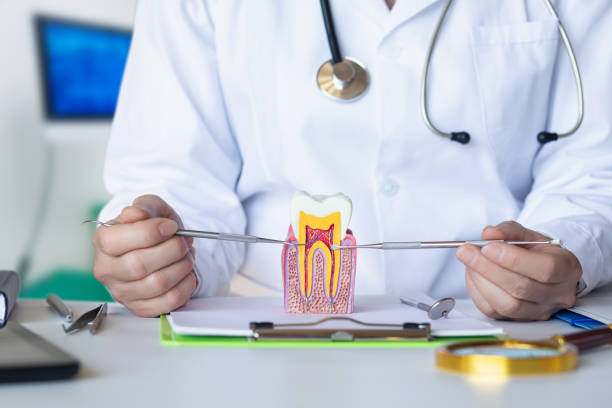 Best Emergency Wisdom Tooth Extraction in Yorktown, TX